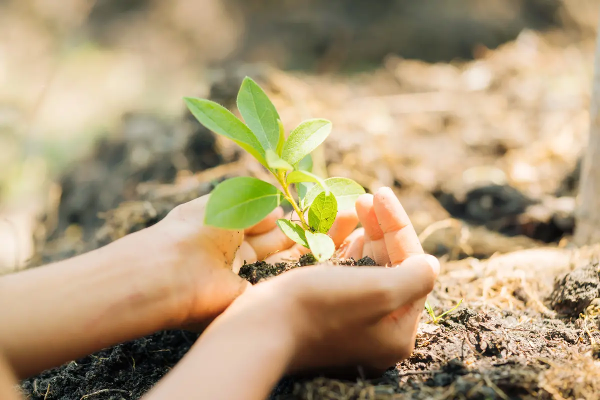 社会課題の周知活動