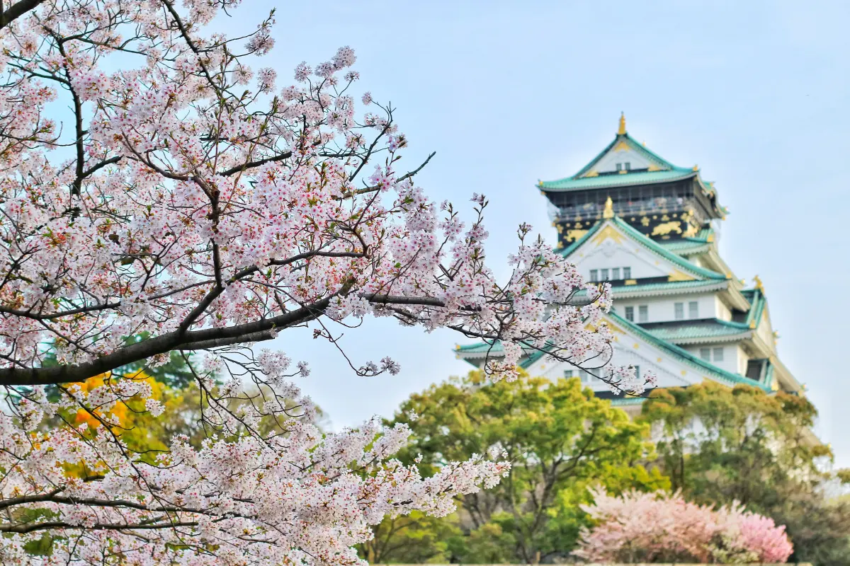 地域ブランドや認知度を高められる