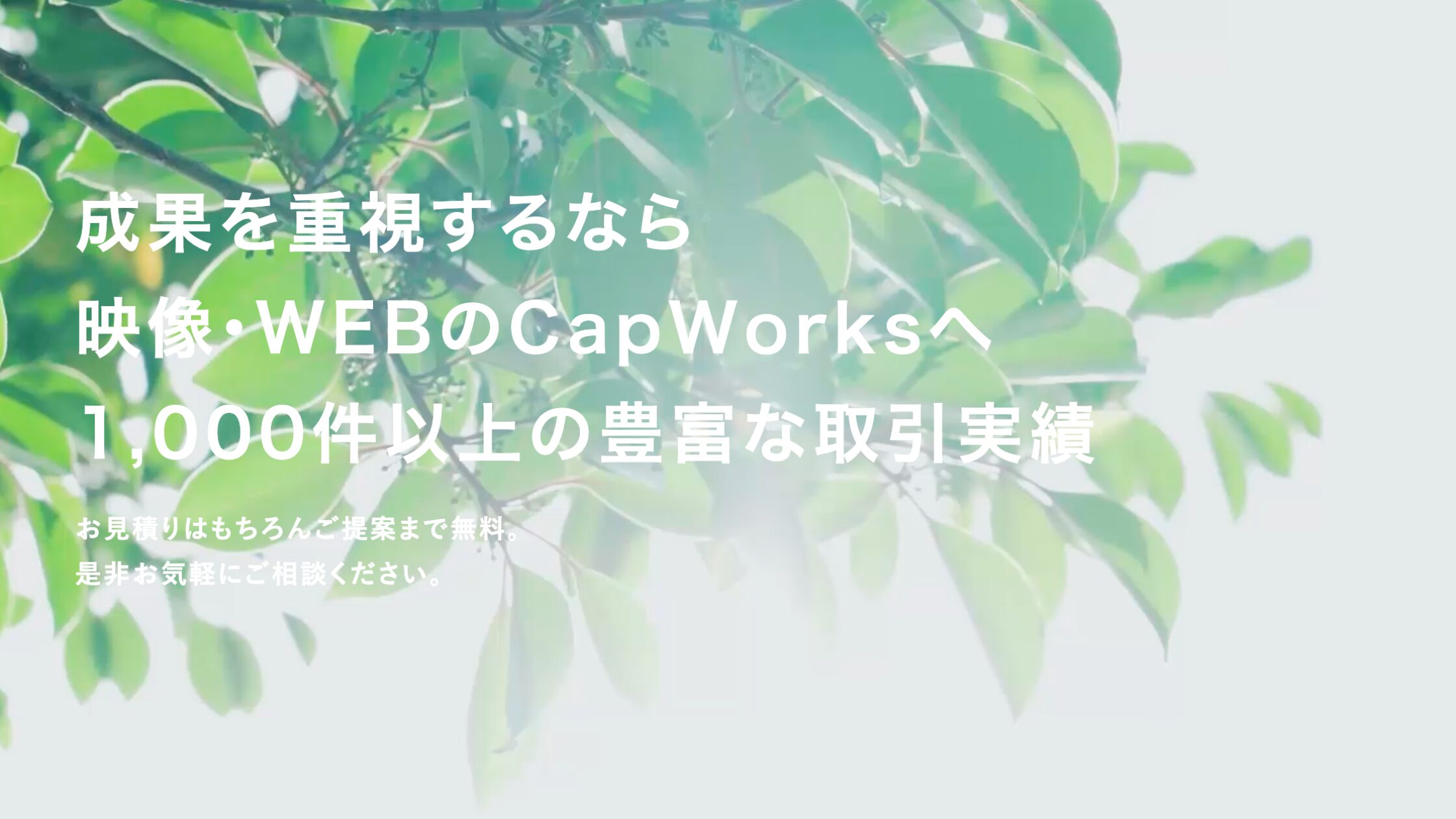 株式会社CapWorks