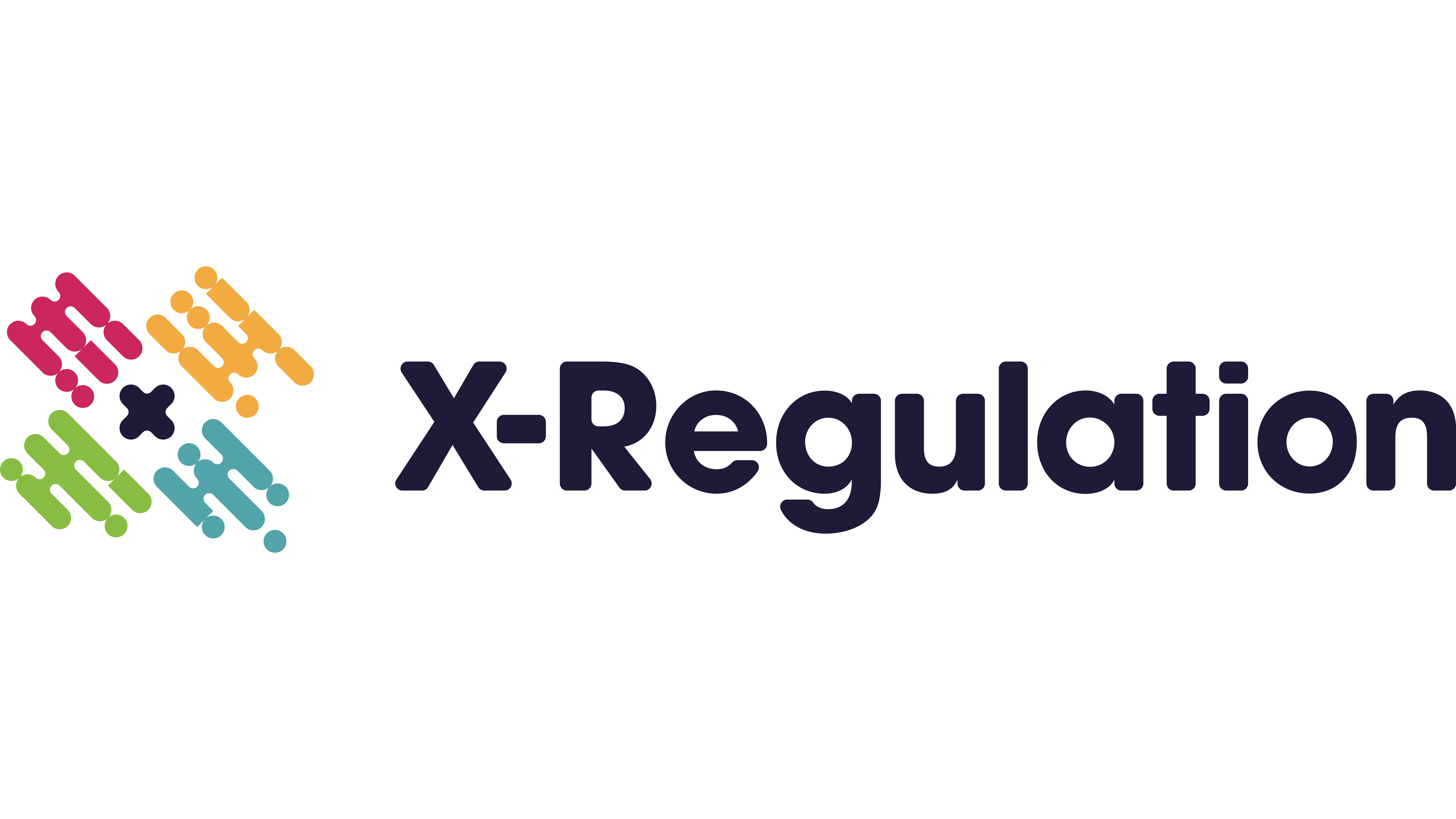 株式会社X-Regulation