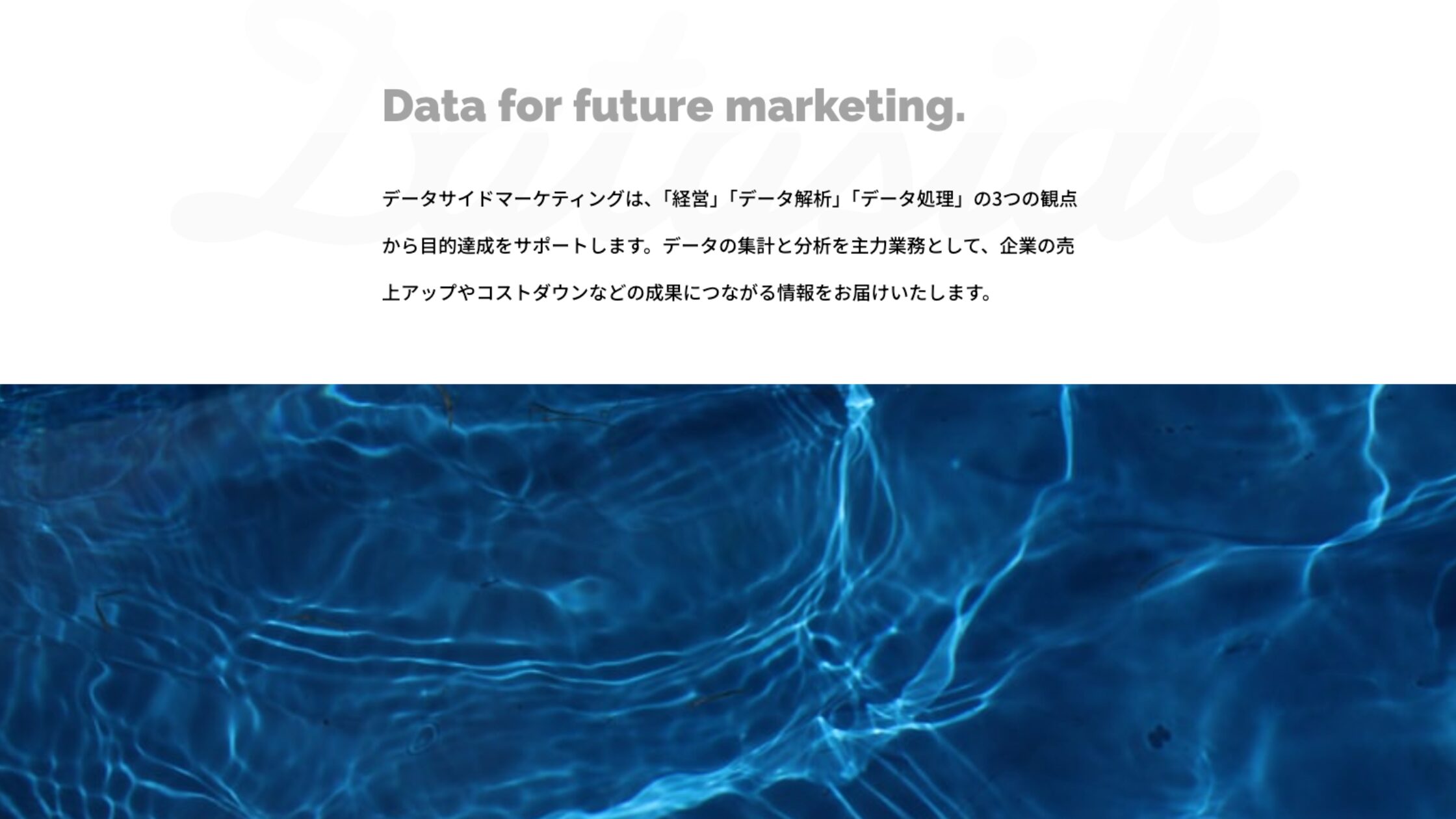 データサイドマーケティング合同会社