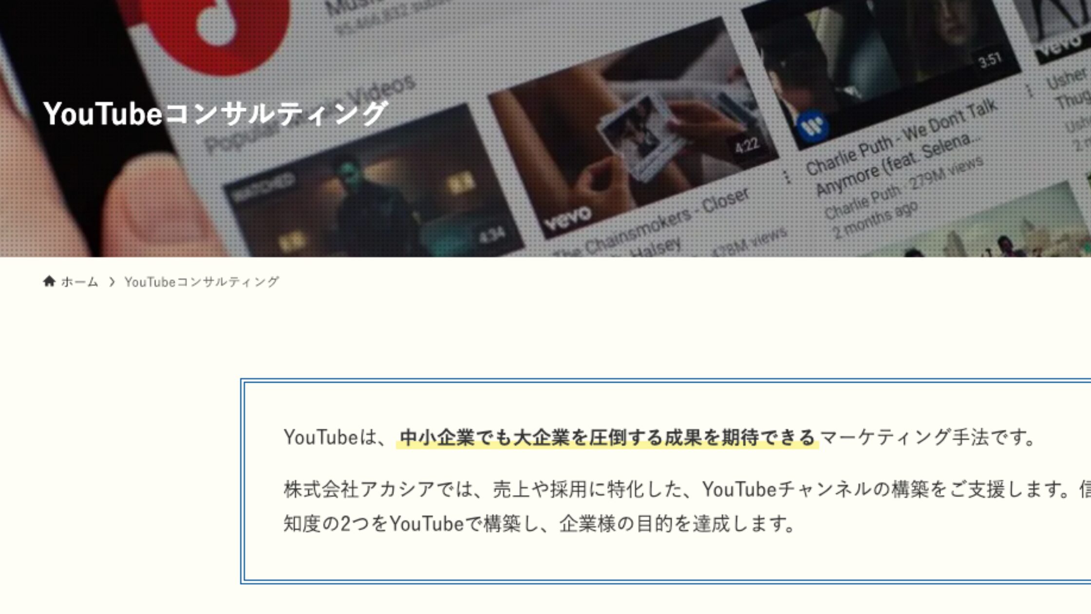 株式会社アカシア