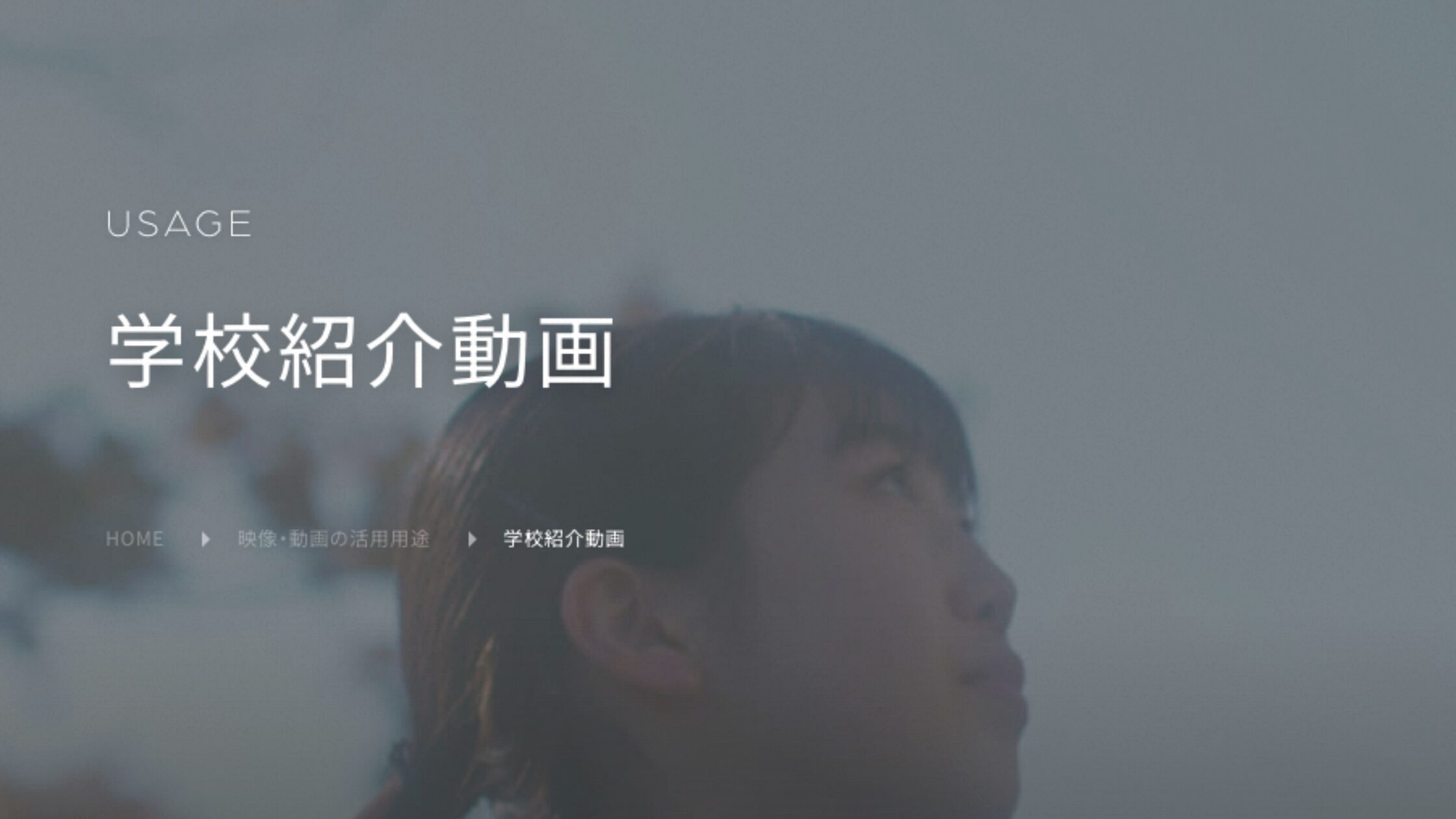 株式会社エレファントストーン